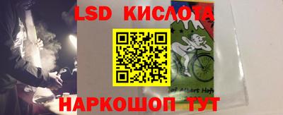 spice Бердск