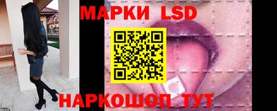 spice Бердск