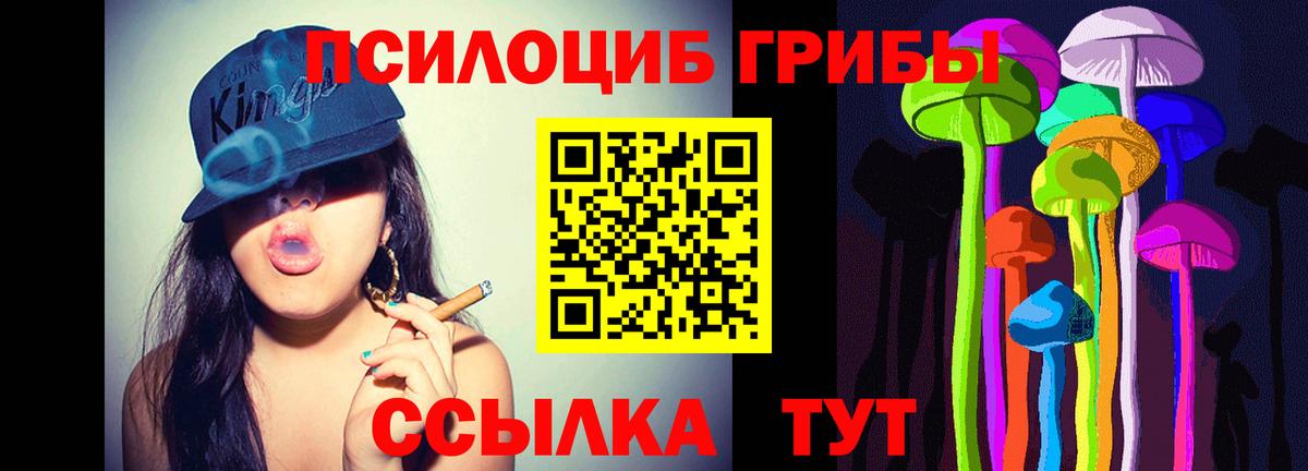 Галлюциногенные грибы Cubensis  Вход с VPN  Кашира  Псилоцибиновые грибы прущие грибы 