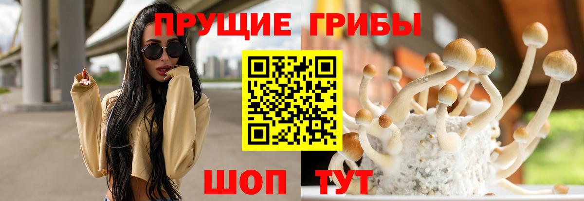 Галлюциногенные грибы GOLDEN TEACHER Кашира